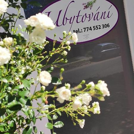 Apartman Cafe U Kordulky Ratiskovice Eksteriør billede